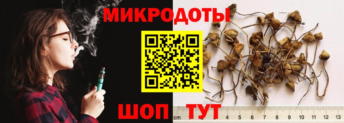 Галлюциногенные грибы Psilocybine cubensis Кувандык