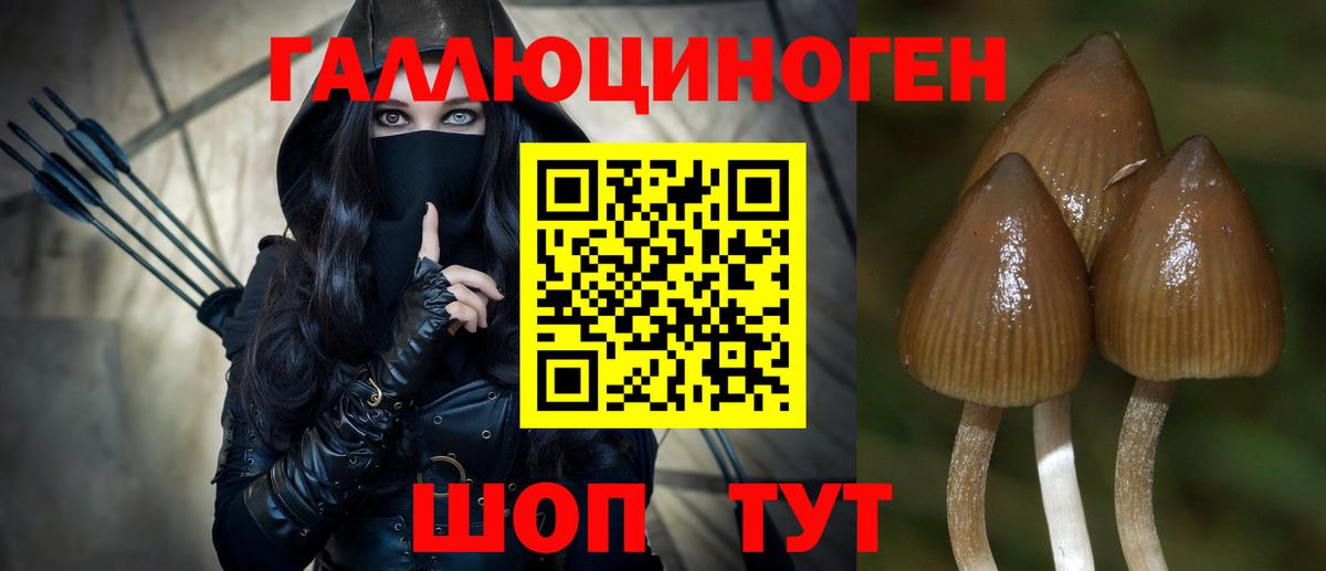 Кувандык  Галлюциногенные грибы Psilocybe  Вход с VPN 